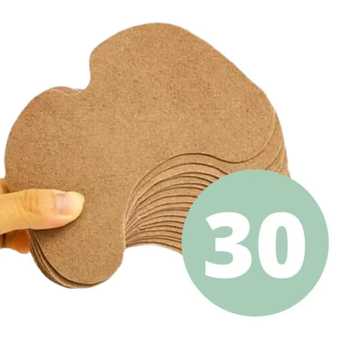 30 Pcs Kräuter-Knie Schmerzlinderung Patches (opd)