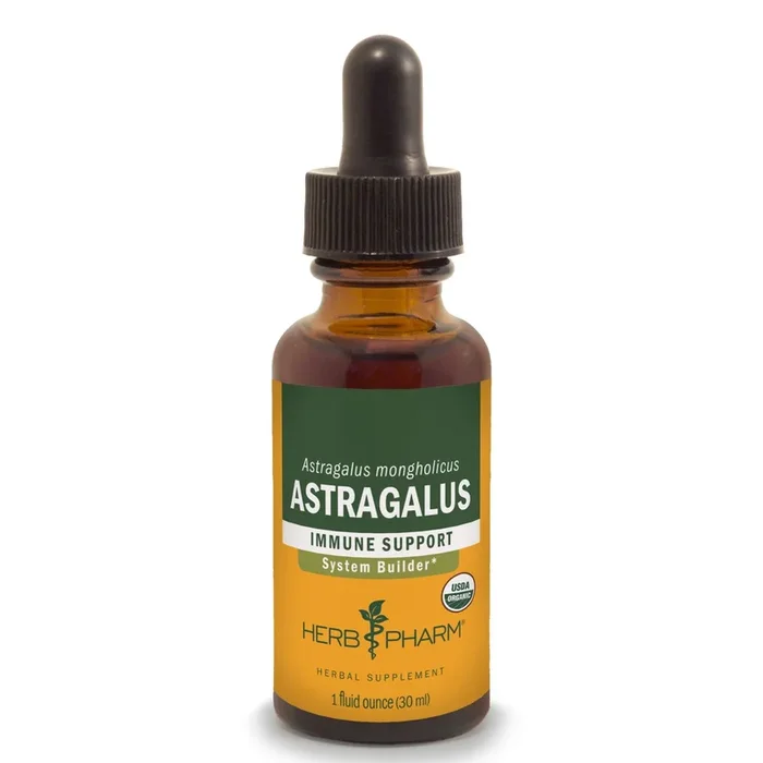 Astragalus