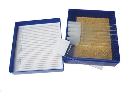 Azer Scientific Control Trichrome Tissue – ESCS-129