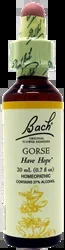 Bach Gorse 0.7Oz