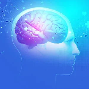 Brain Chemistry Panel