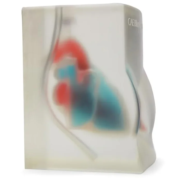CAE Blue Phantom™ Heart Block Model