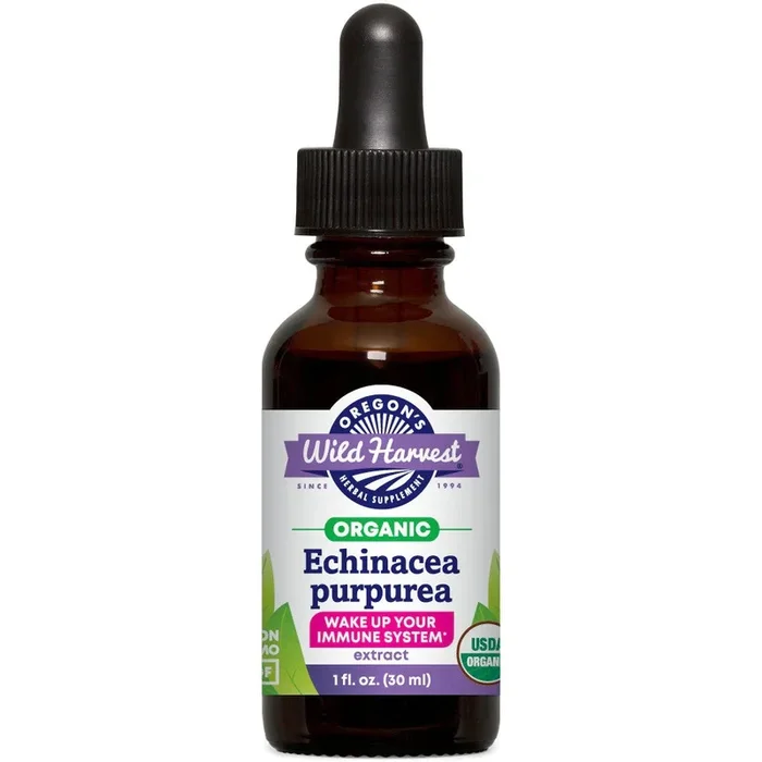 Echinacea Purpurea