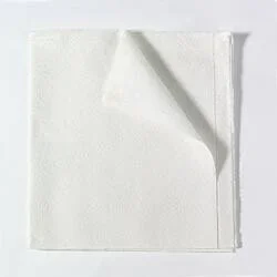Encore General Purpose Drape Sheet 40 W X 48 L Inch NonSterile CS/100
