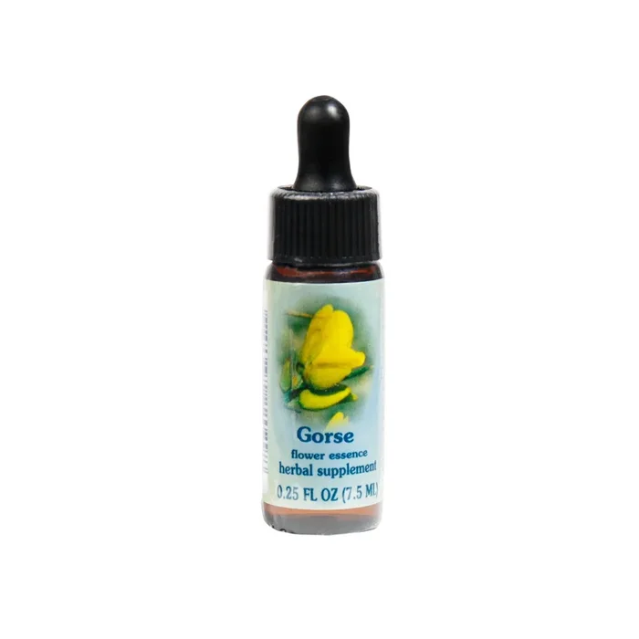 Flower Essence Services Gorse (0.25 fl oz) #8396