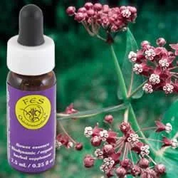 Flower Essence Services Milkweed (0.25 fl oz) #8375