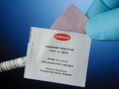 Hardy Diagnostics Oxoid Anaerobic Indicator – BR55