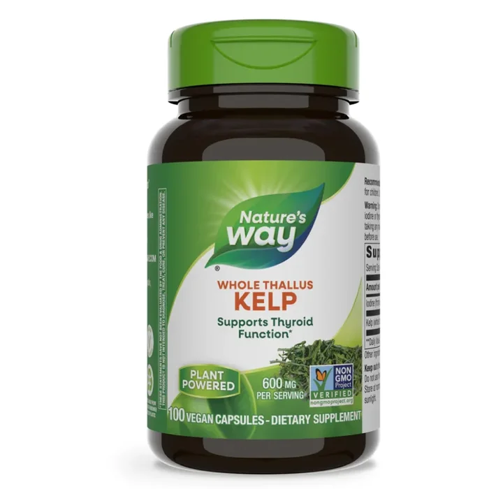 Kelp