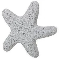 Kingsley Star Fish Pumice #18750