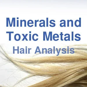 Minerals And Toxic Metals