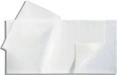 Molnlycke Mepitel Silicone Dressing Silicone 3 X 4 Inch – 290799