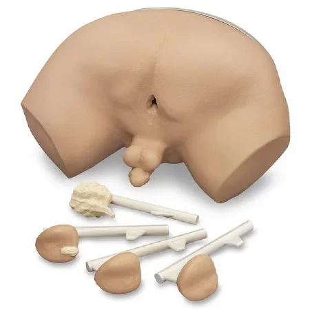 Nasco Life/Form Prostate Examination Simulator Male 19 lbs. – LF00901