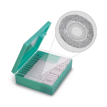 Nasco Microbial World Prepared Microscope Slide Set 1 X 3 Inch Prepared Slide – C32475N