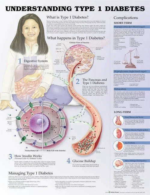 Understanding Type 1 Diabetes Poster 20 x 26