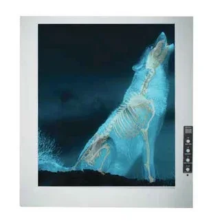 Wolf X-Ray ILLUMINATOR, XRAY TRIMLINE LEDSINGLE – 26001